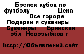 Брелок кубок по футболу Fifa 2018 › Цена ­ 399 - Все города Подарки и сувениры » Сувениры   . Брянская обл.,Новозыбков г.